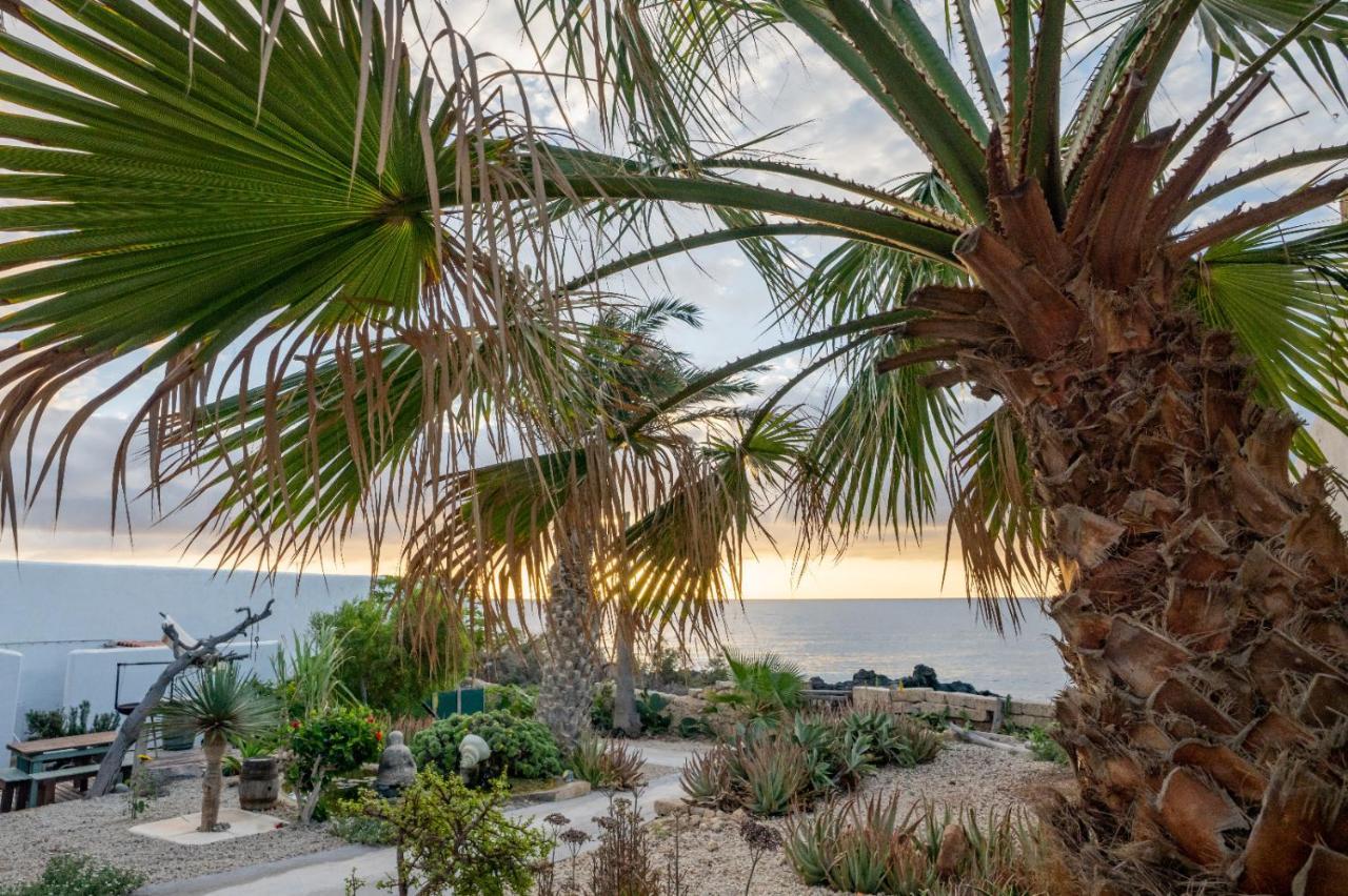 Little Paradise In El Medano Granadilla De Abona Eksteriør billede